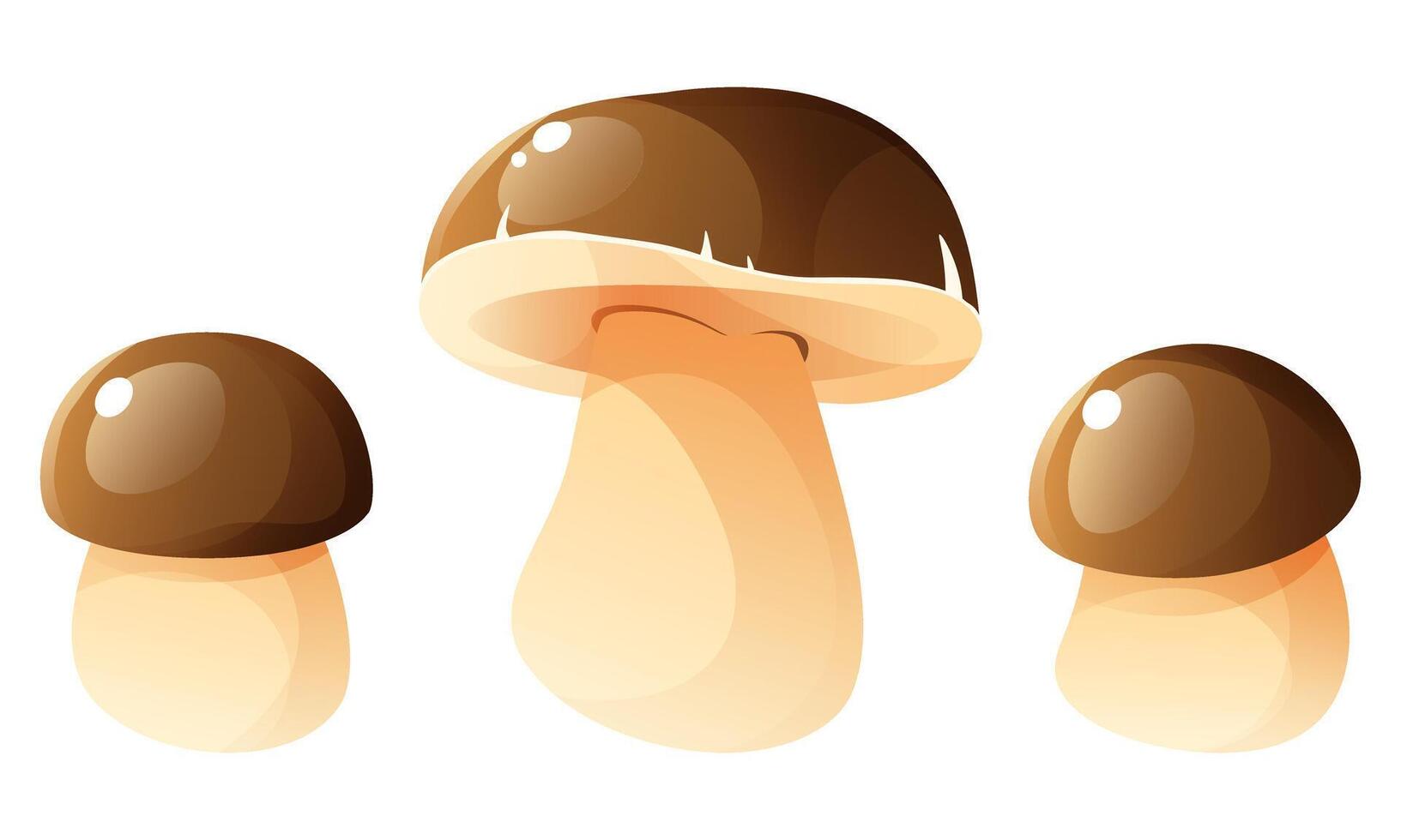 Boletus, autumn harvest, forest mushrooms. Brown cap, white stem, edible mushroom. Elements of autumn, forest design, for postcards, posters, children's books. vector