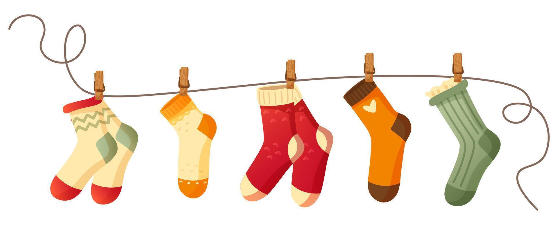 Beautiful different socks hang on a rope, secured with a clothespin. Washing, washed socks dry on a rope. Autumn and winter warm, woolen, knitted socks on a white background. An item of clothing. vector