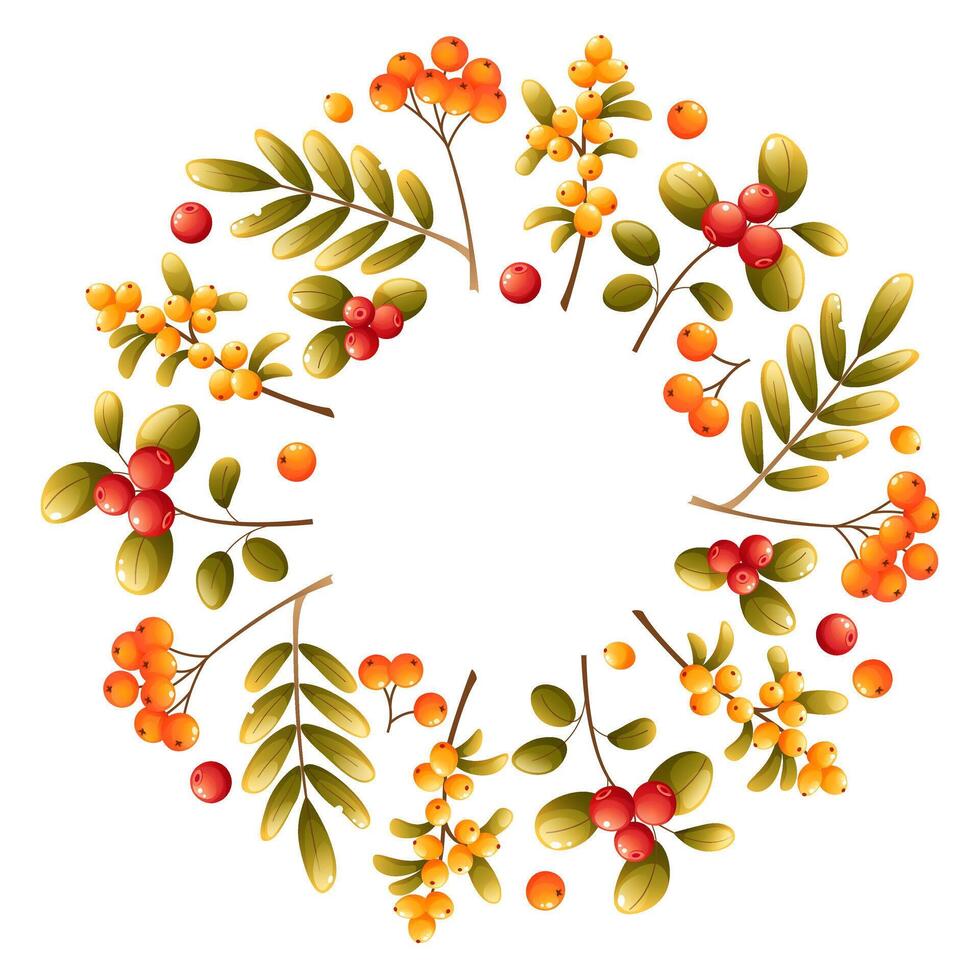 Frame wreath of autumn elements, leaves, rowan berries, lingonberries, sea buckthorn on a white background. Suitable for seasonal autumn and winter holidays, Thanksgiving, Christmas. vector