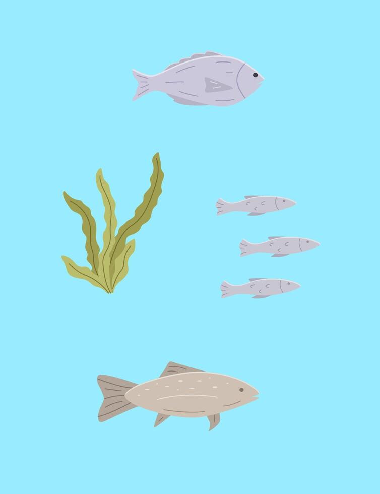Set of sea or river fish and algae. illustration dorado carp, a school of fish, blue background. vector