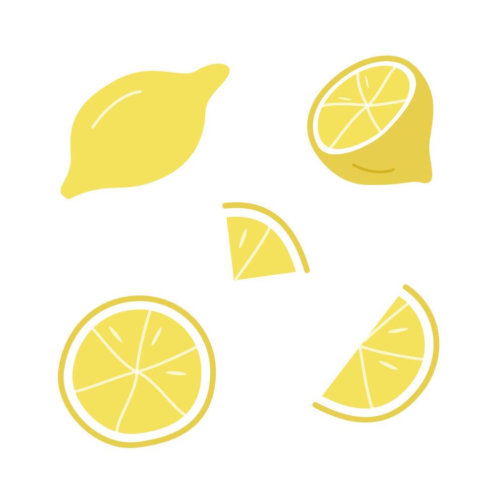 Lemon set drawings, whole and lemon slices. illustration of a yellow citrus fruit. vector