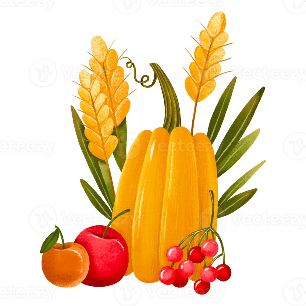 Harvest with pumpkin and apples. Rural postcard. Thanksgiving and autumn harvest. Hand drawn illustration on isolated background png