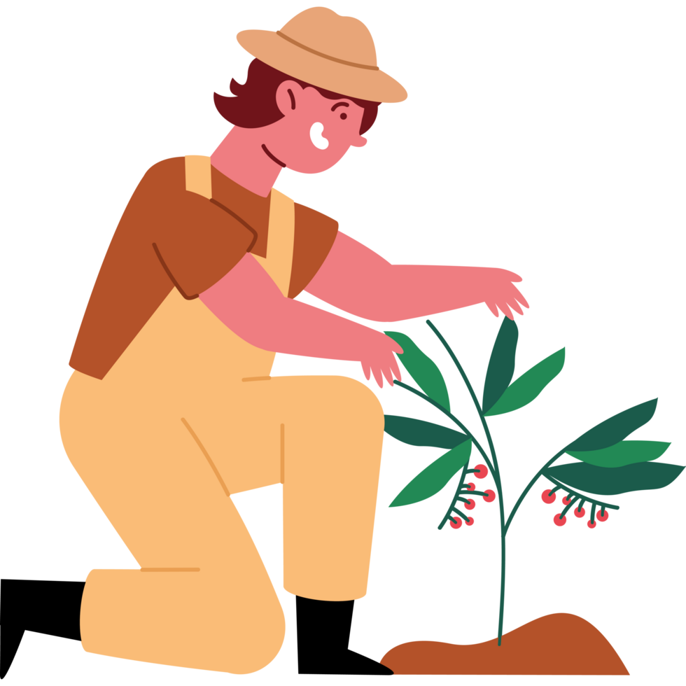 coffee picker cartoon with tree png