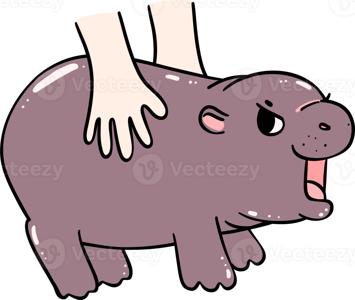 Cute Baby Pygmy Grumpy Hippo Bouncy pig cartoon character png