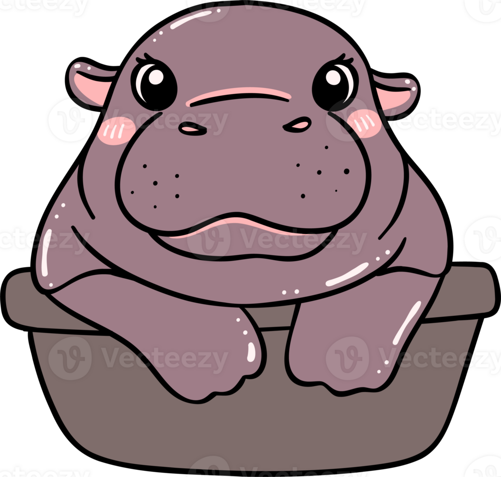 Cute Baby Pygmy Hippo Bouncy pig in basin cartoon character png