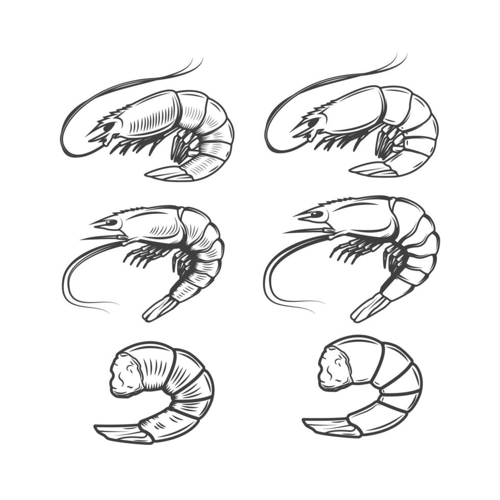 Set of shrimps icons isolated on white background. Seafood. Design elements for logo, label, emblem, sign, brand mark. vector