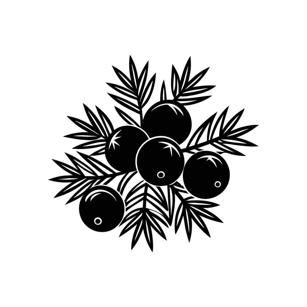 Icon Illustration of Juniper Berry Logo vector