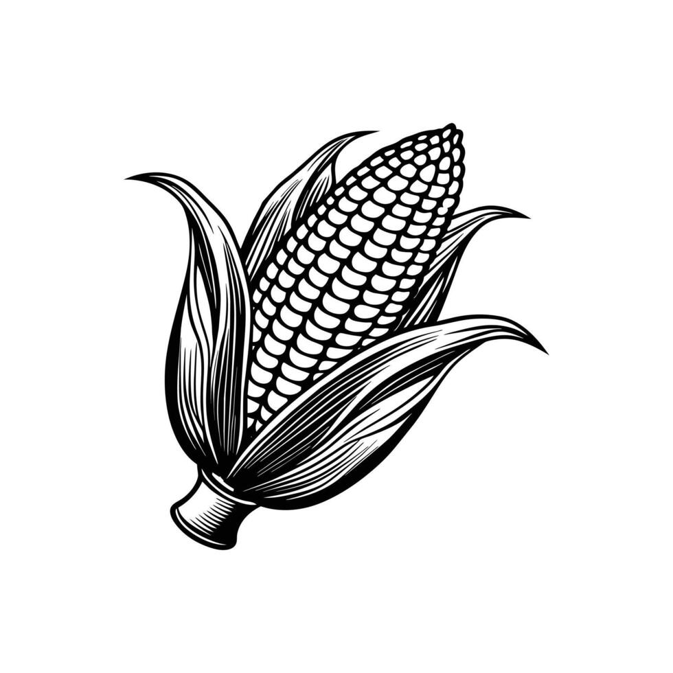 A corn logo icon illustration vector