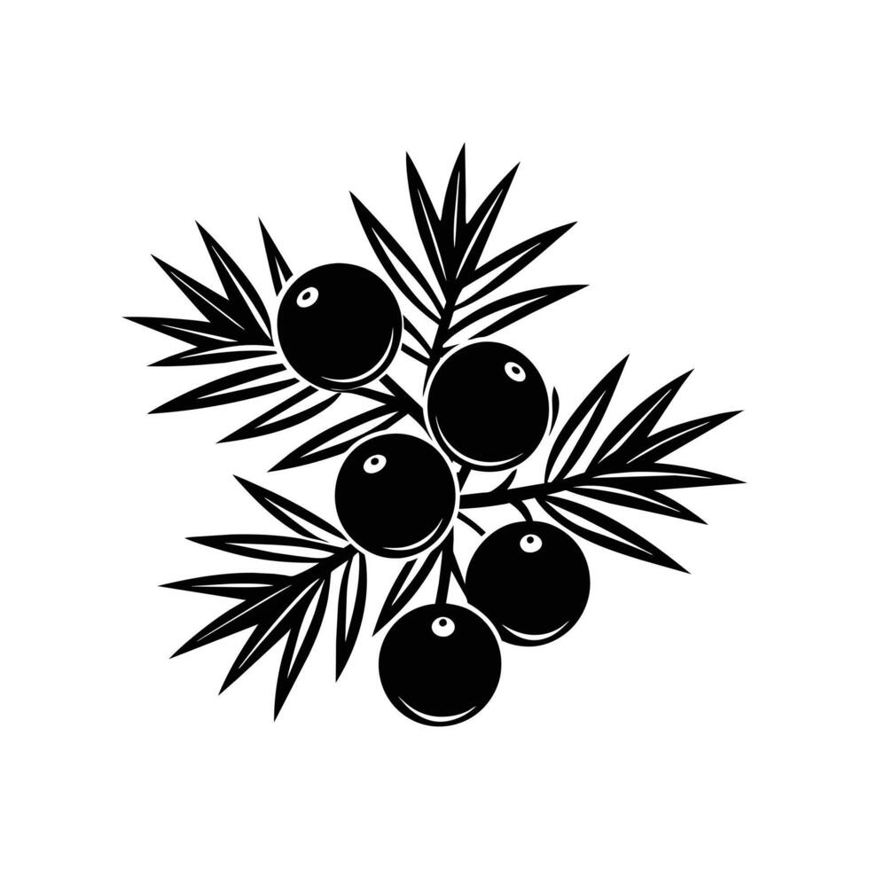 Illustration of Juniper Berry Logo Icons vector