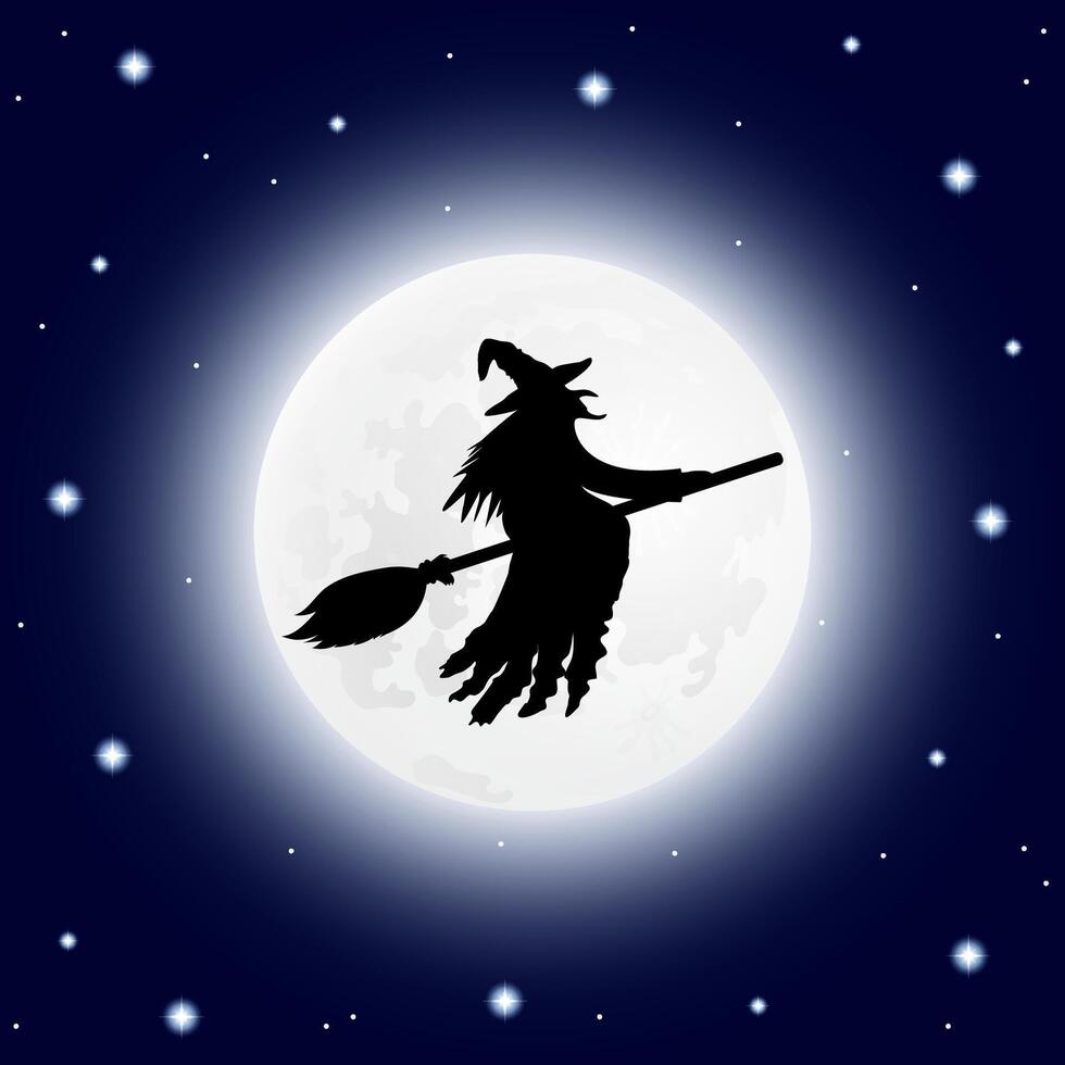 Silhouette of a witch flying on a broomstick. vector