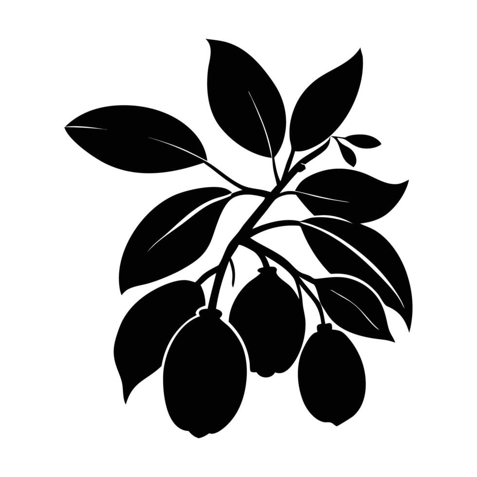 kumquat fruit silhouette design vector