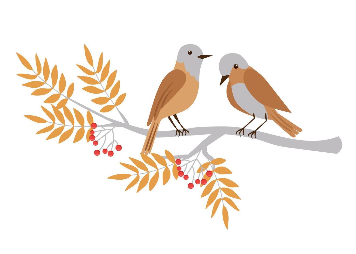 Cute autumn characters. Forest birds on a rowan branch. Illustration on a white background. vector