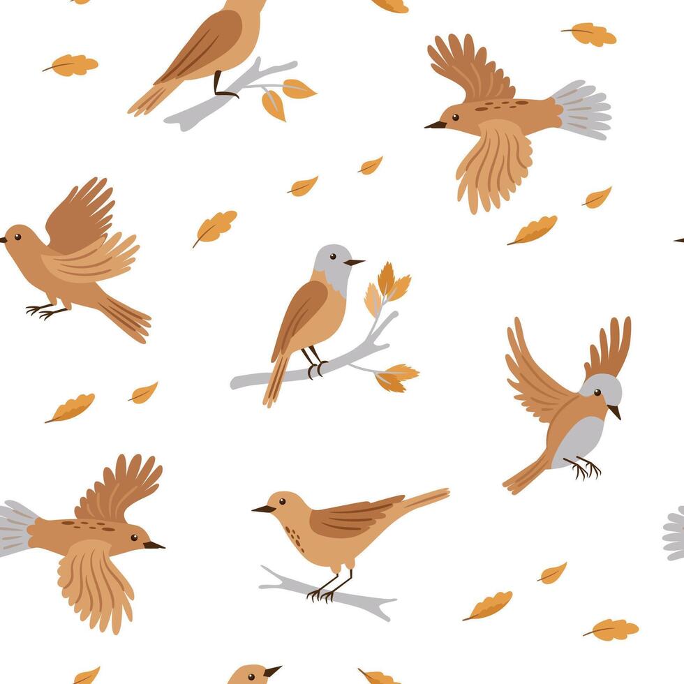 Forest birds seamless pattern. Birds in different poses. cute animals on white background. vector