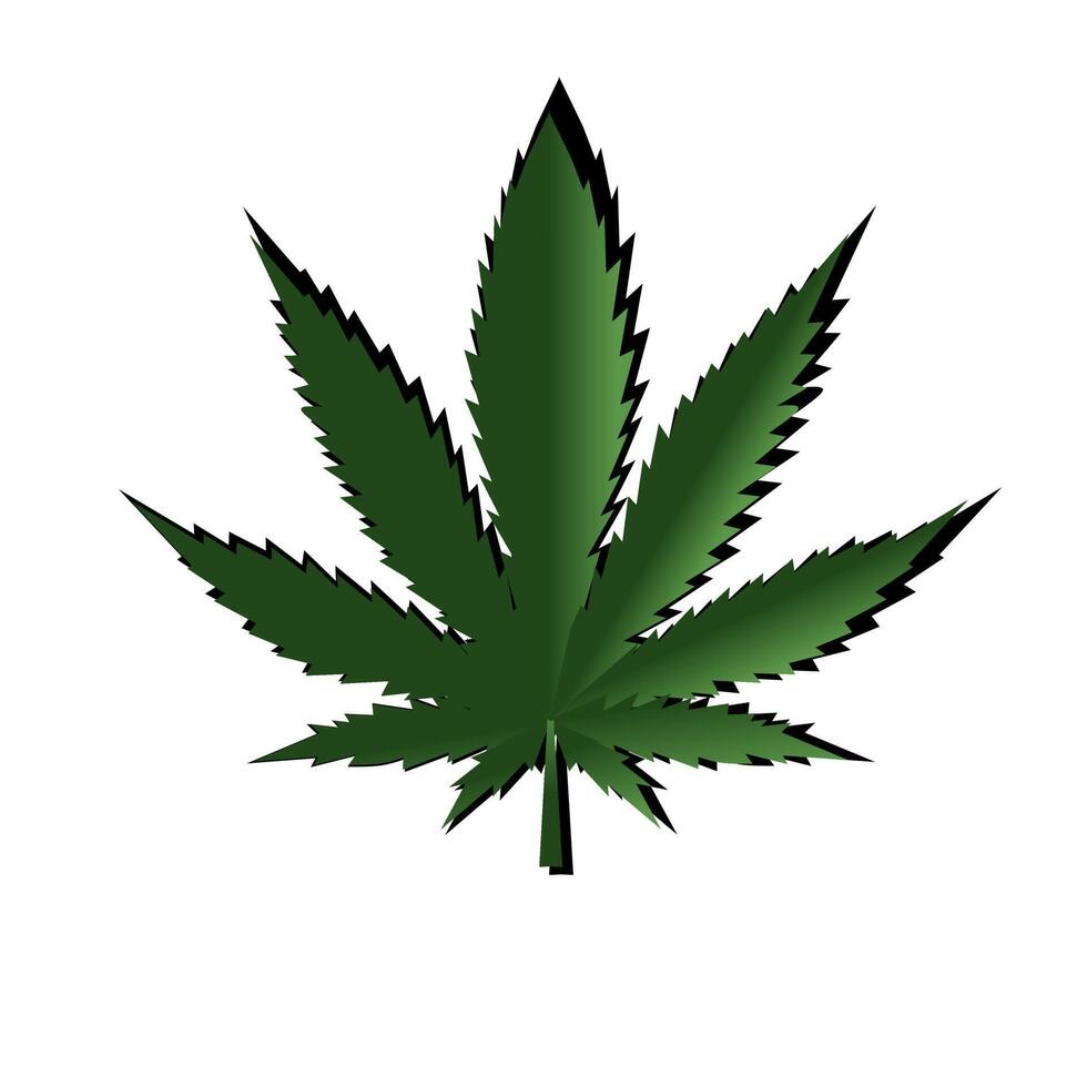 A marijuana leaf on a white background vector