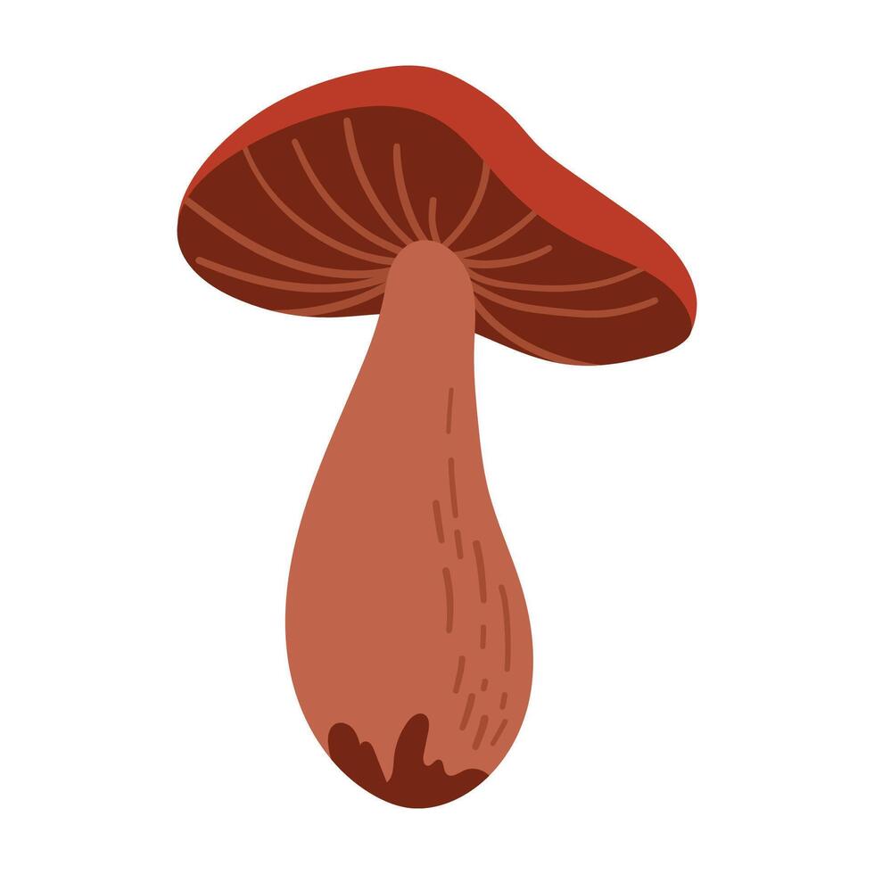 Hand Drawn Brown Boletus Mushroom Hand Drawn Illustration Isolated on White Background. Autumn Forest Harvest. Fall Season Flora vector