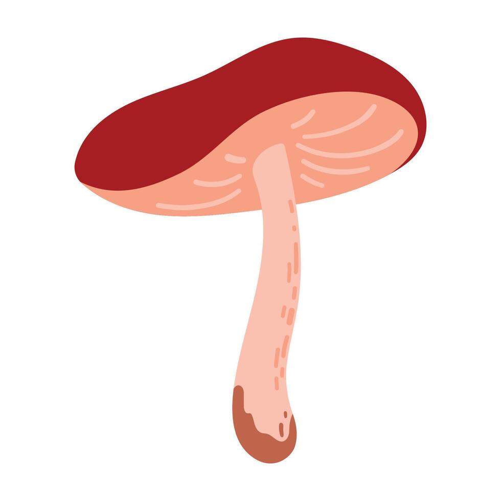 Hand Drawn Brown Boletus Mushroom Illustration Isolated on White Background. Autumn Forest Harvest. Fall Season Flora vector