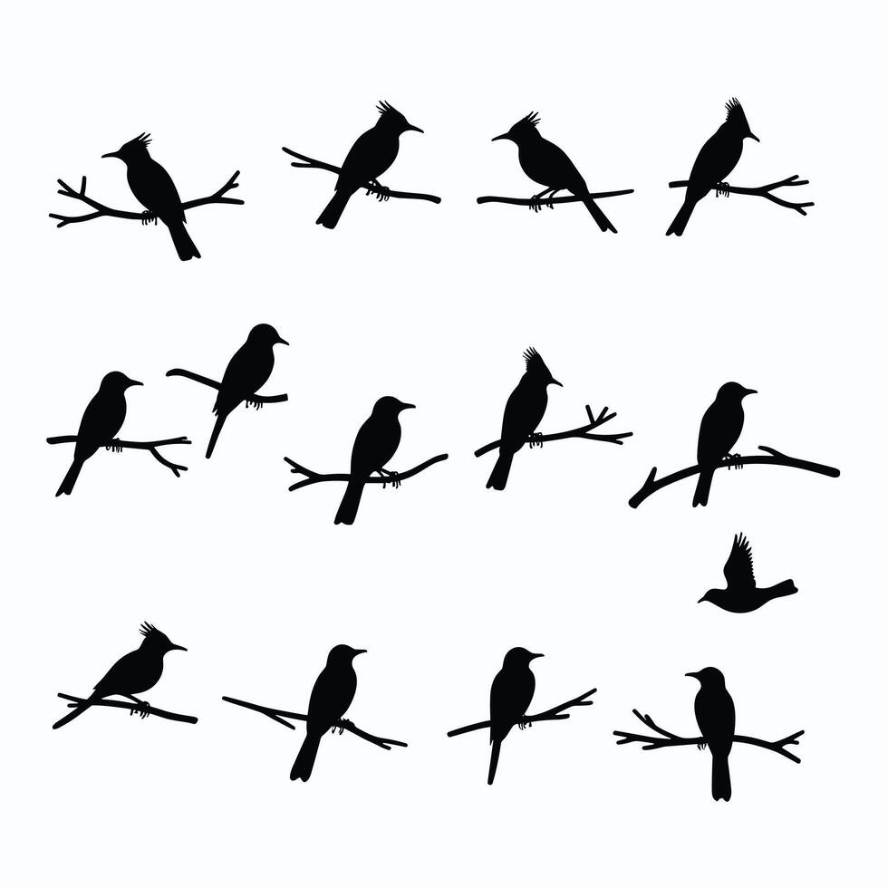 Silhouettes of birds perched on branches and soaring, showcasing various postures against a clean white background. vector