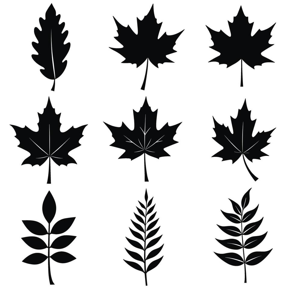 Collection of black silhouette leaves on a white background featuring various shapes and types, including maple and fern-like designs. vector