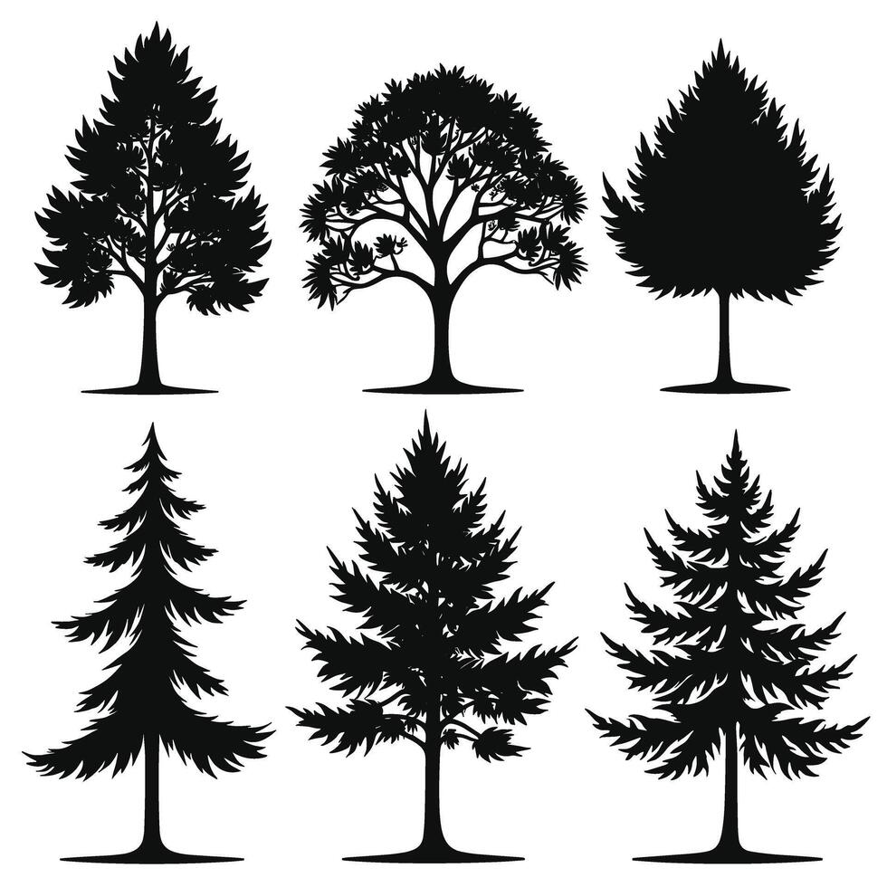 Silhouettes of different tree species in a variety of shapes and forms against a white background. vector