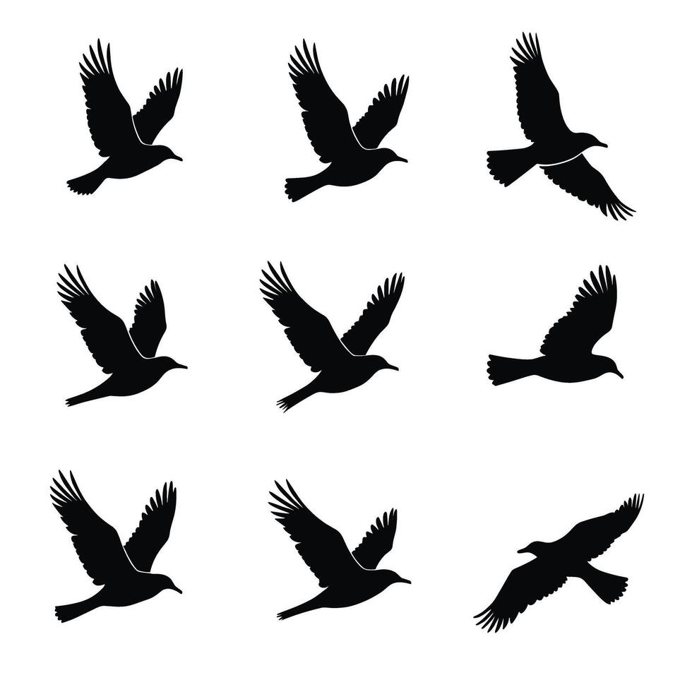 Silhouettes of birds in flight set against a stark white background exhibit graceful movement and artistic expression in various natural poses. vector