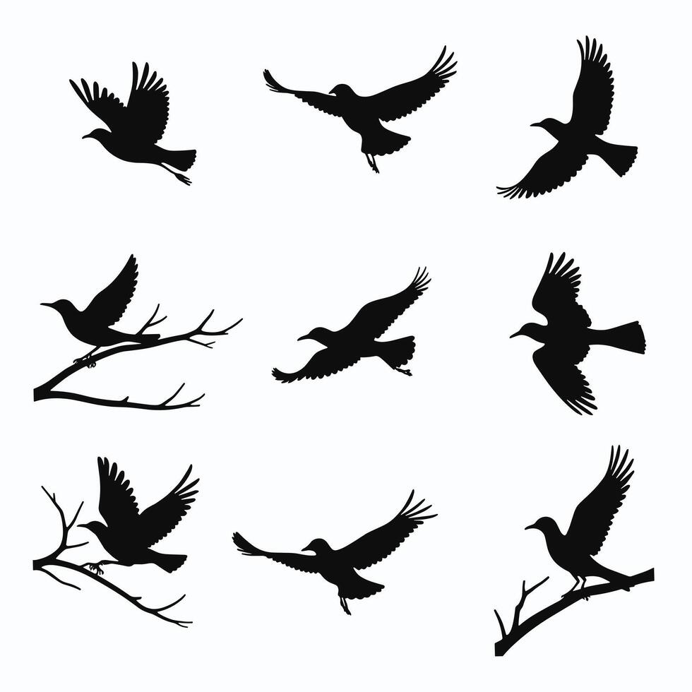 Silhouettes of birds in various poses against a simple white background, showcasing elegance and grace in flight and perched on branches. vector