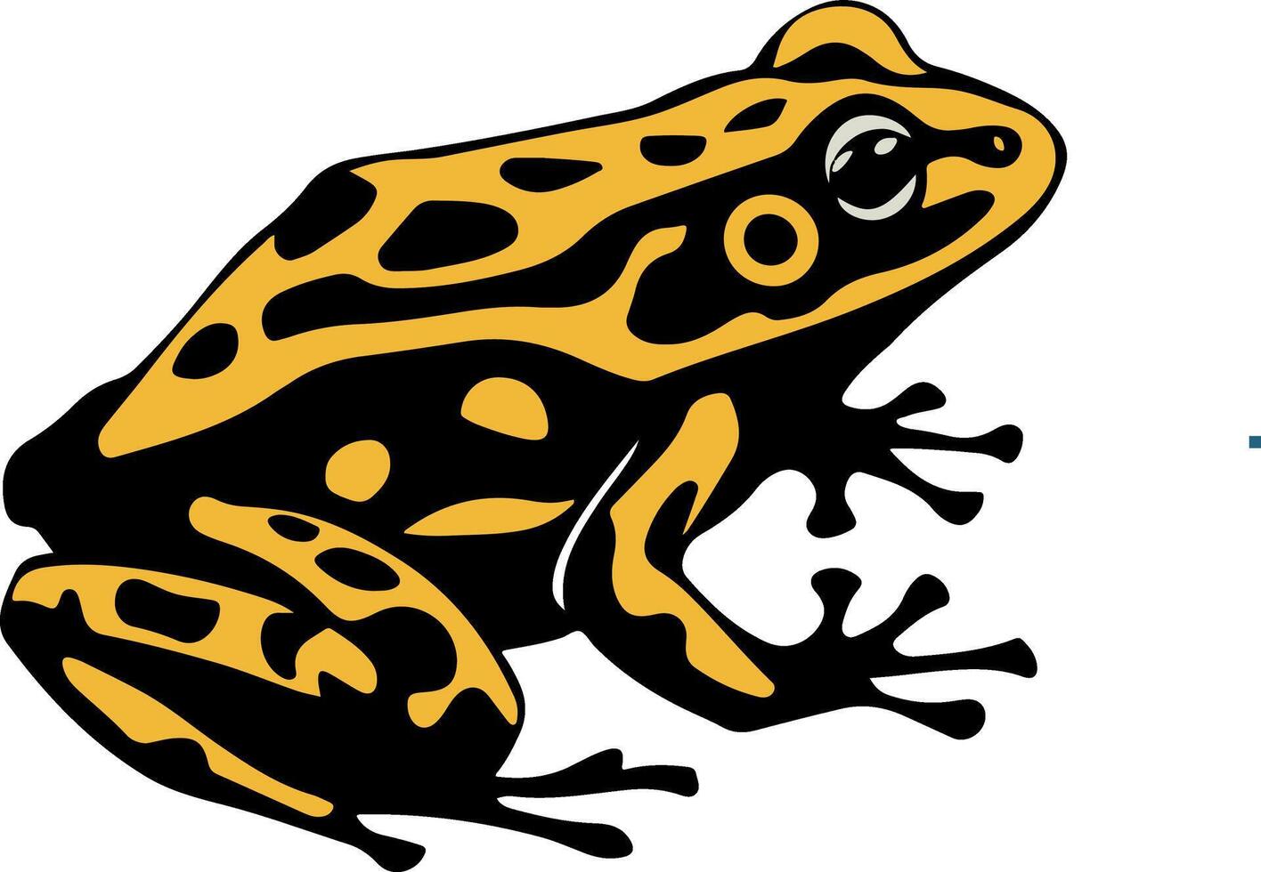 yellow frog art vector