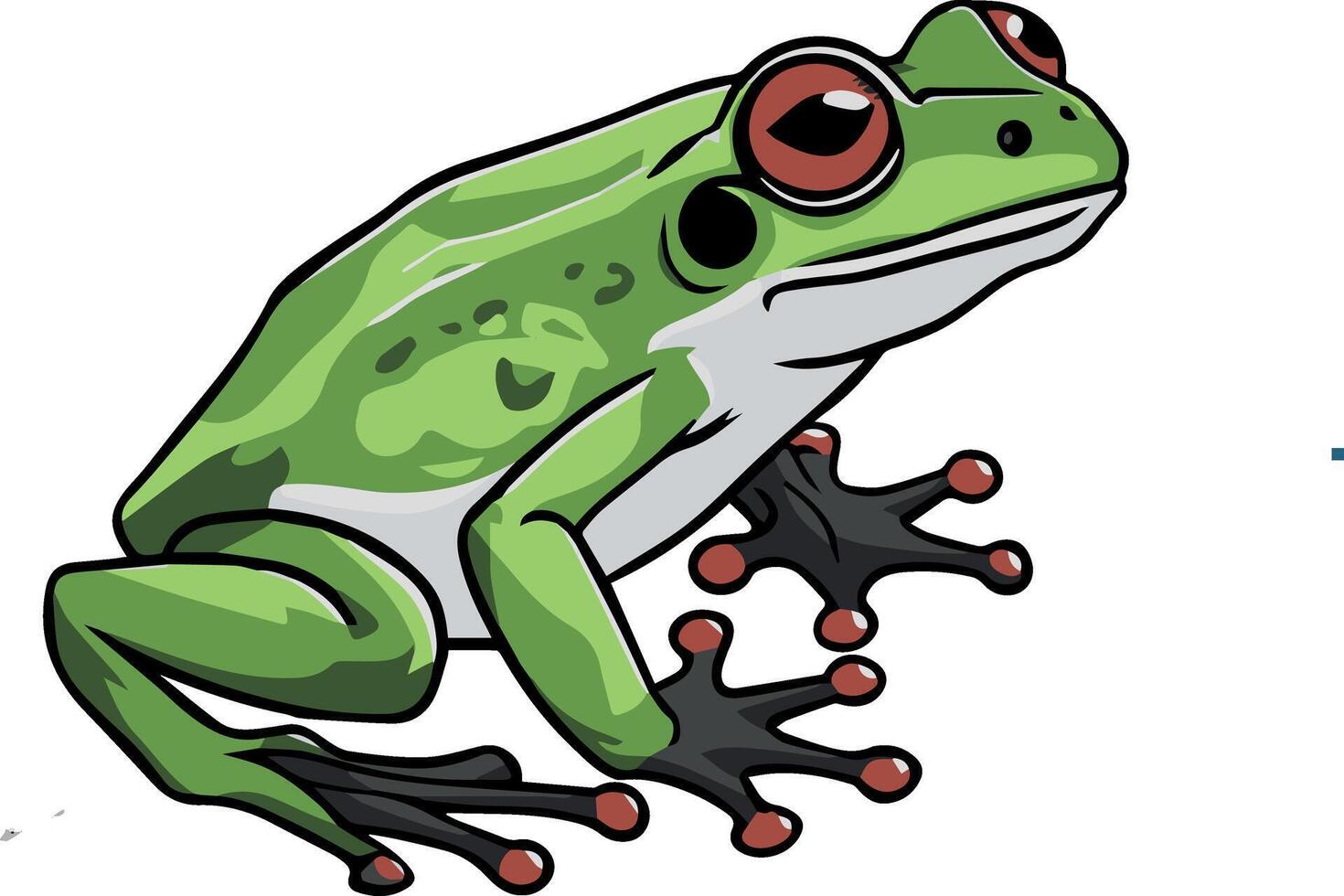 frog on a white background vector