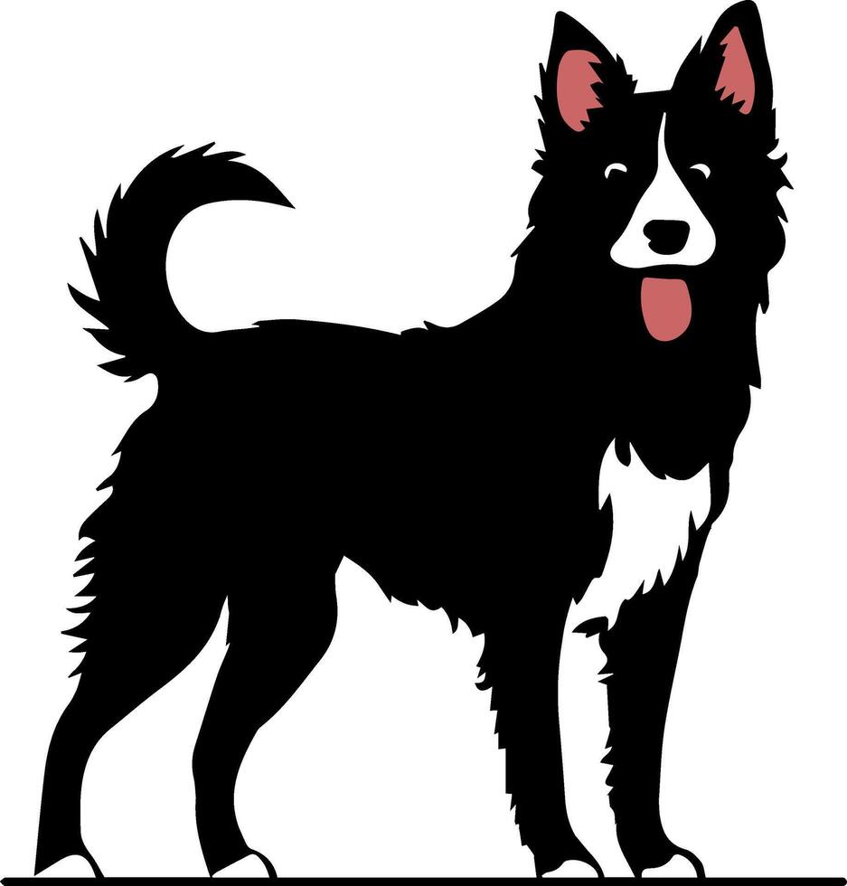 border collie dog illustration vector