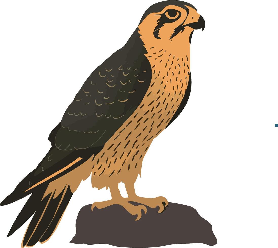 eagle on a branch vector