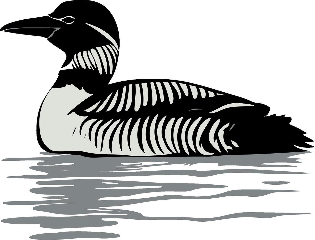 duck on the water vector