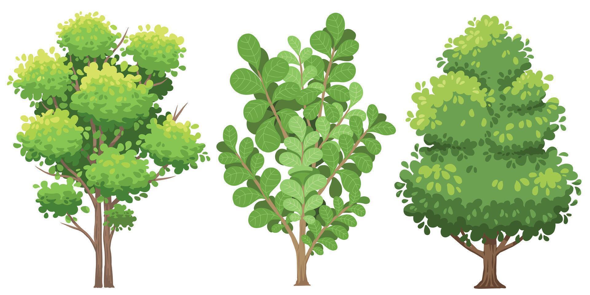 Cartoon tree , natural tree plant design element vector