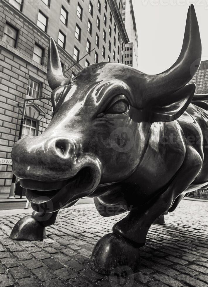 A bull statue on a brick street in a city photo
