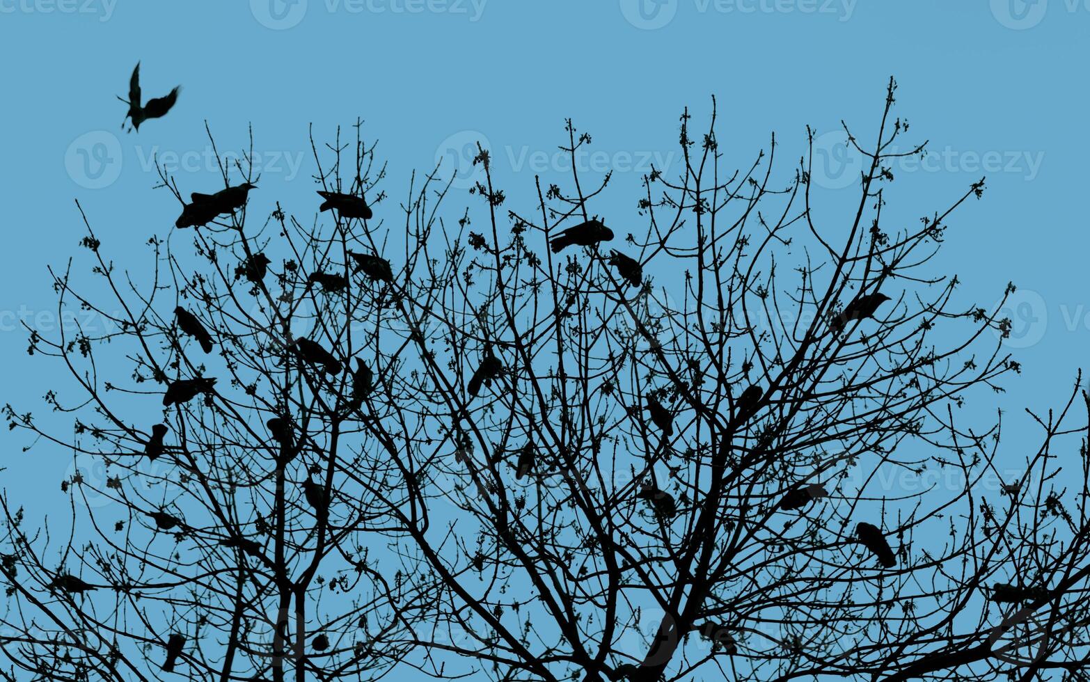 A tree with birds flying around it photo