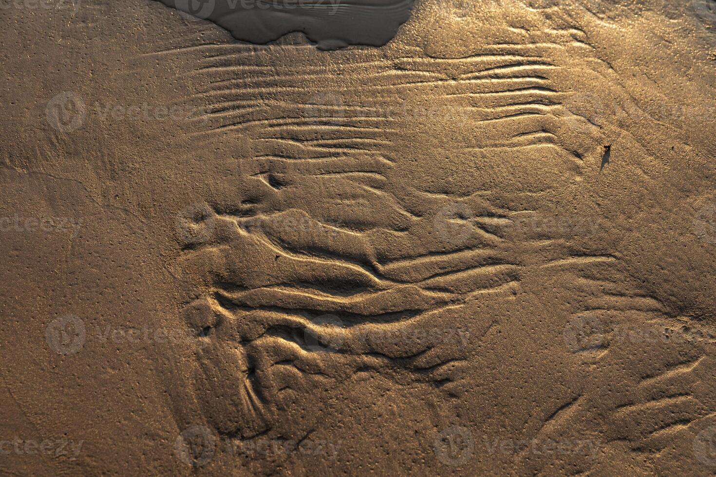 Dunes on the sea shore. Ripples in wet sand background texture. Beach sand background photo