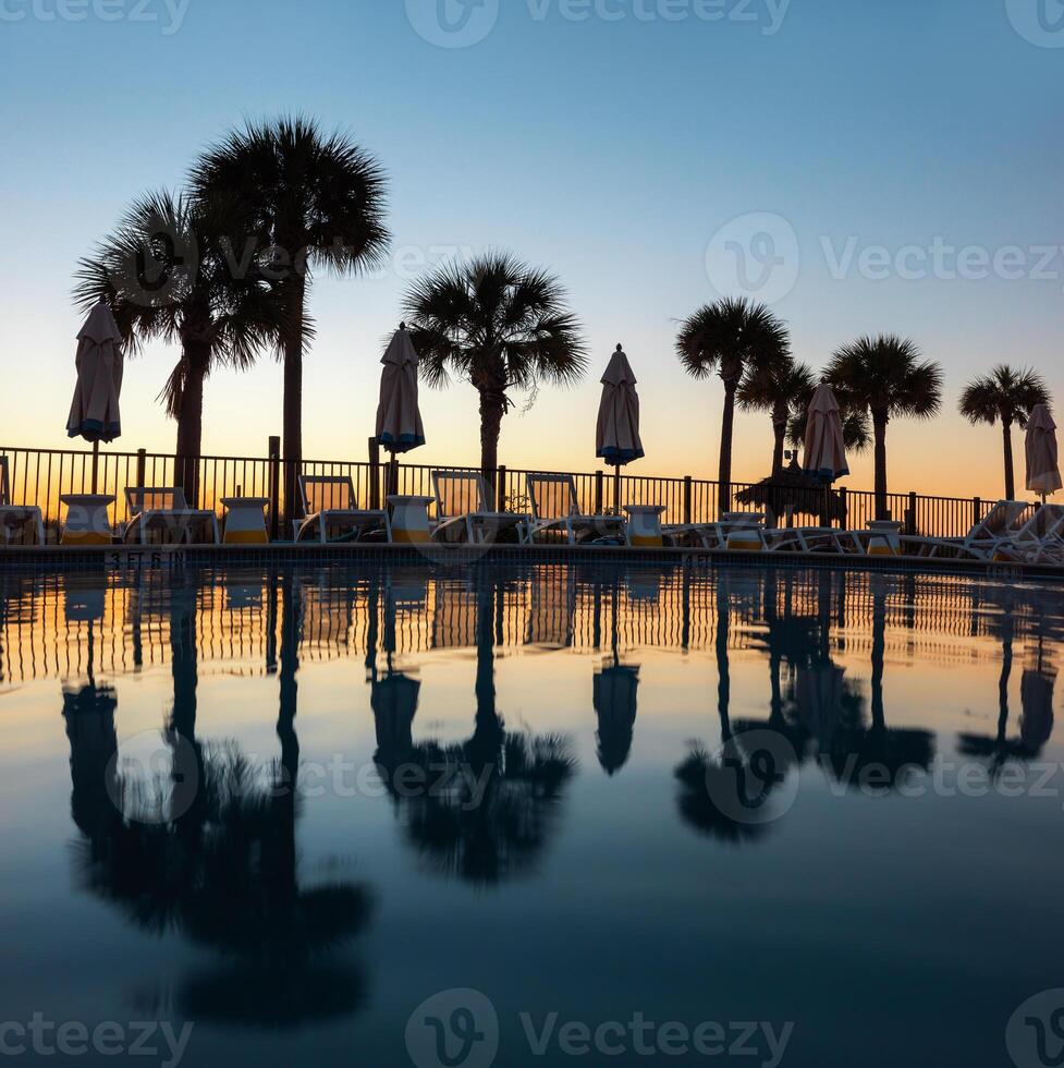 A pool with palm trees and a blue sky photo