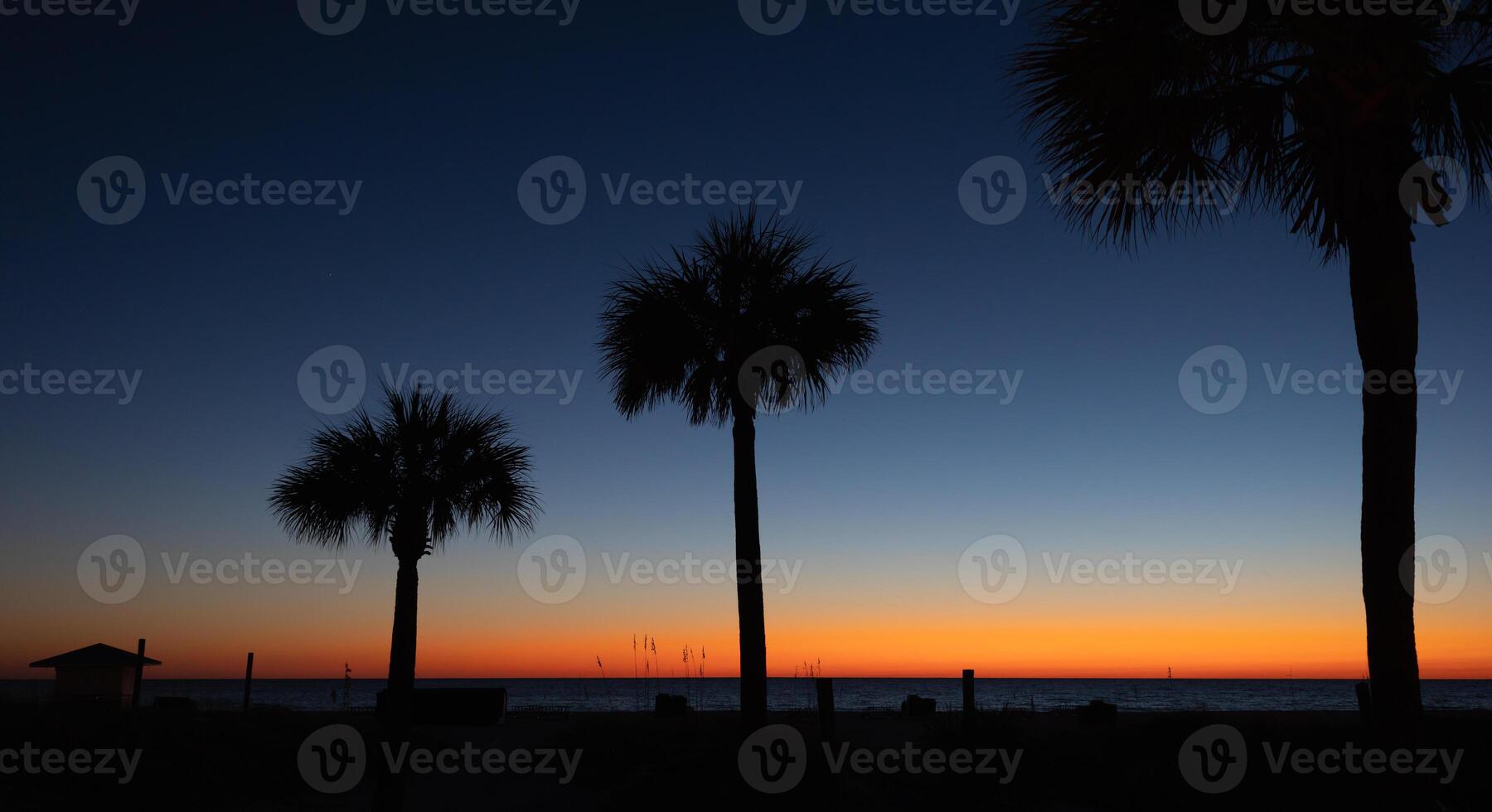 A sunset with palm trees in the background photo