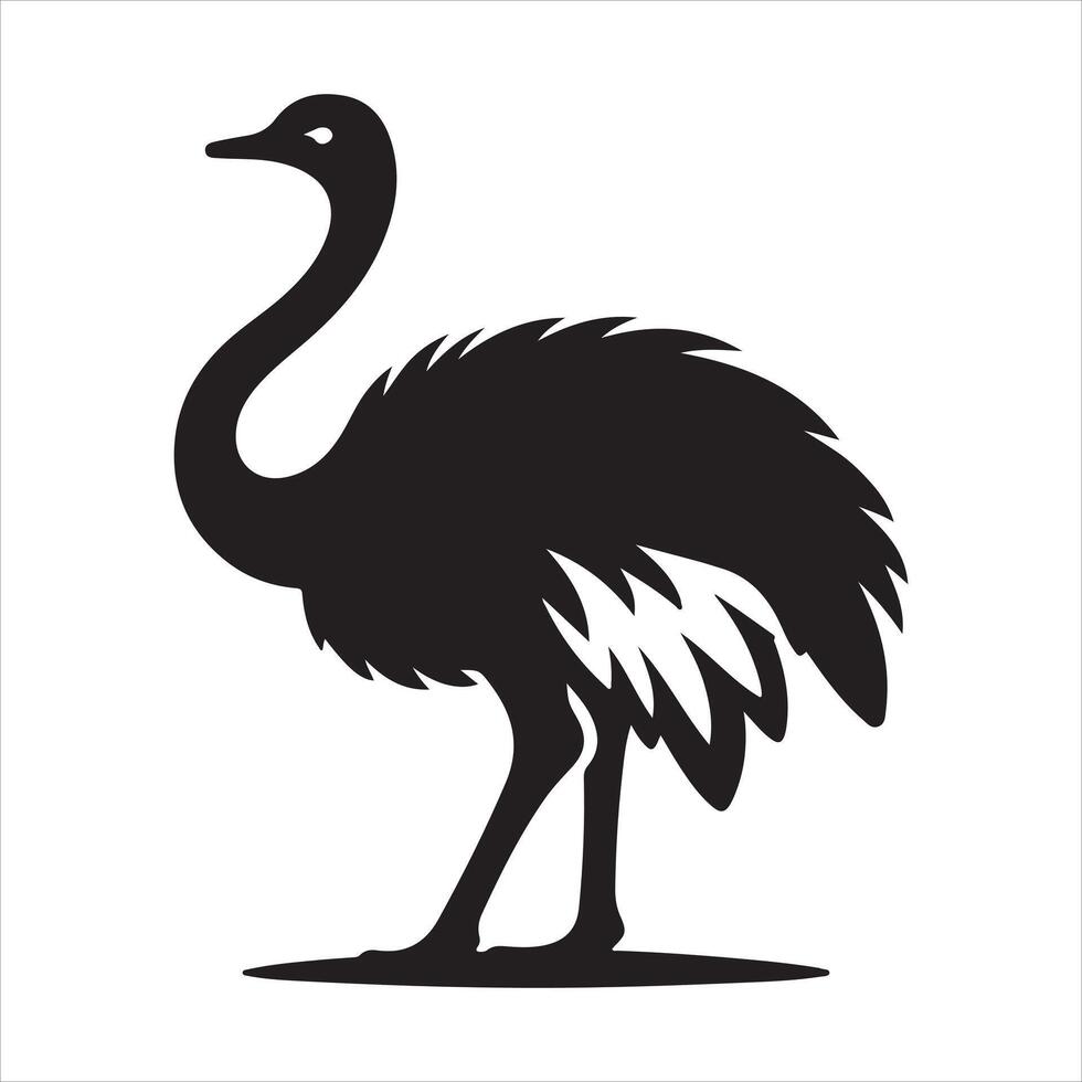 Ostrich EPS file vector