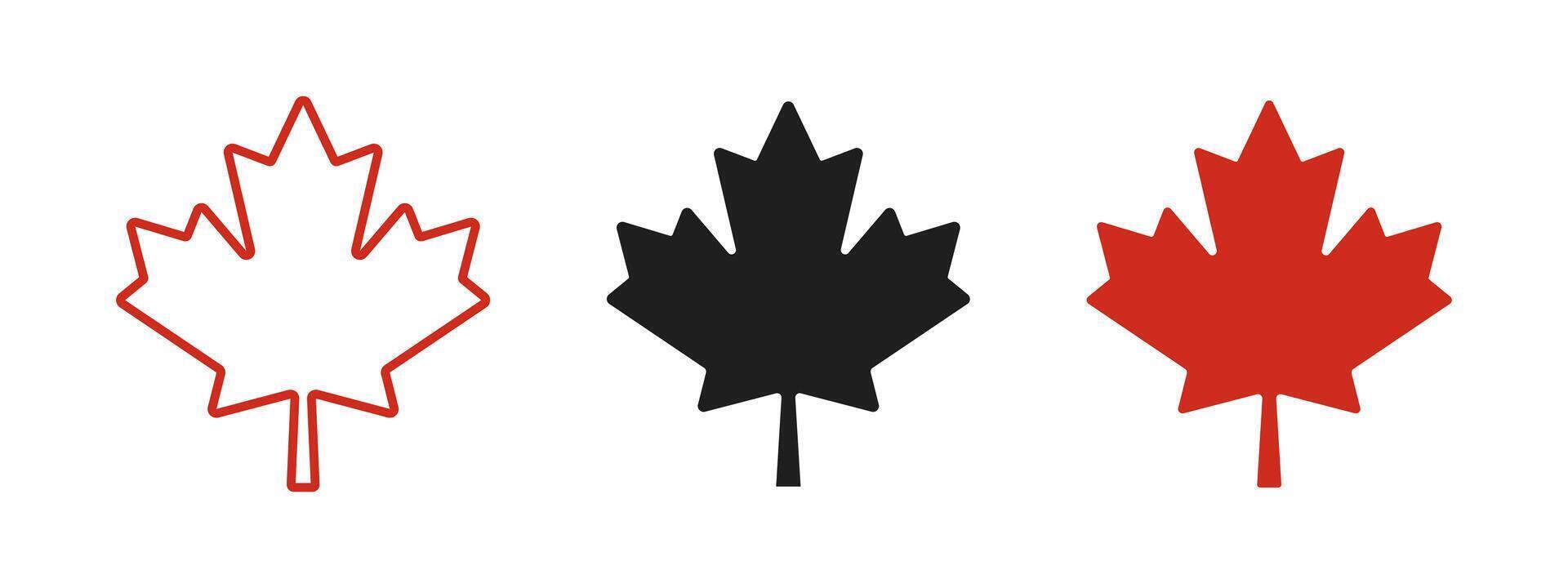 Maple leaf icon. Canada flag sign. Red maple leaves illustration. National Canadian emblem. Autumn fall symbol. Maple silhouette. vector