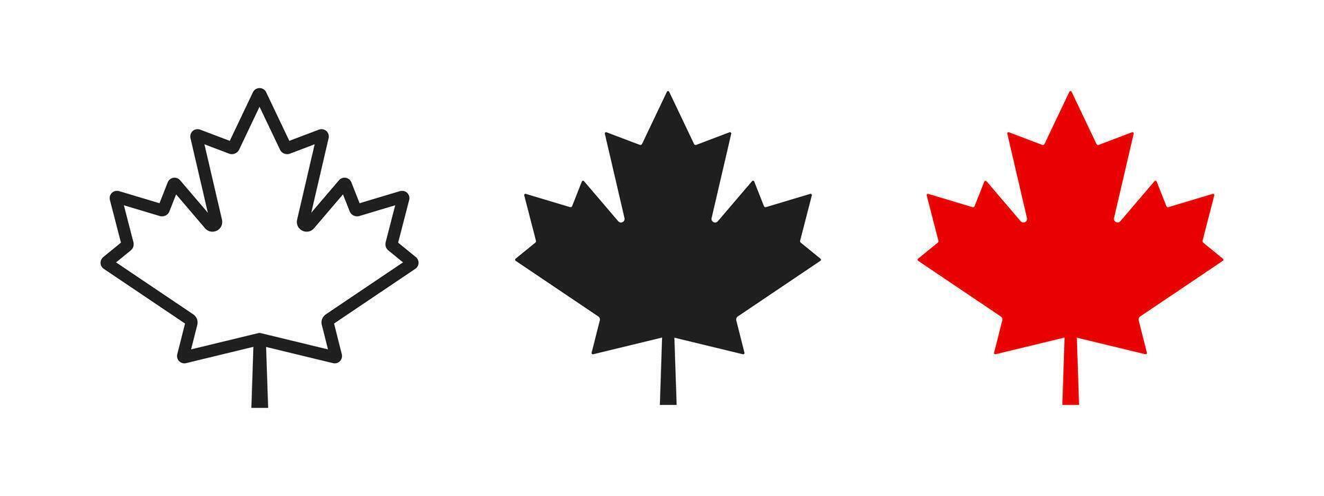 Maple leaf icon. Canada flag sign. Red maple leaf silhouette illustration. Autumn symbol. Canadian flag logo. vector