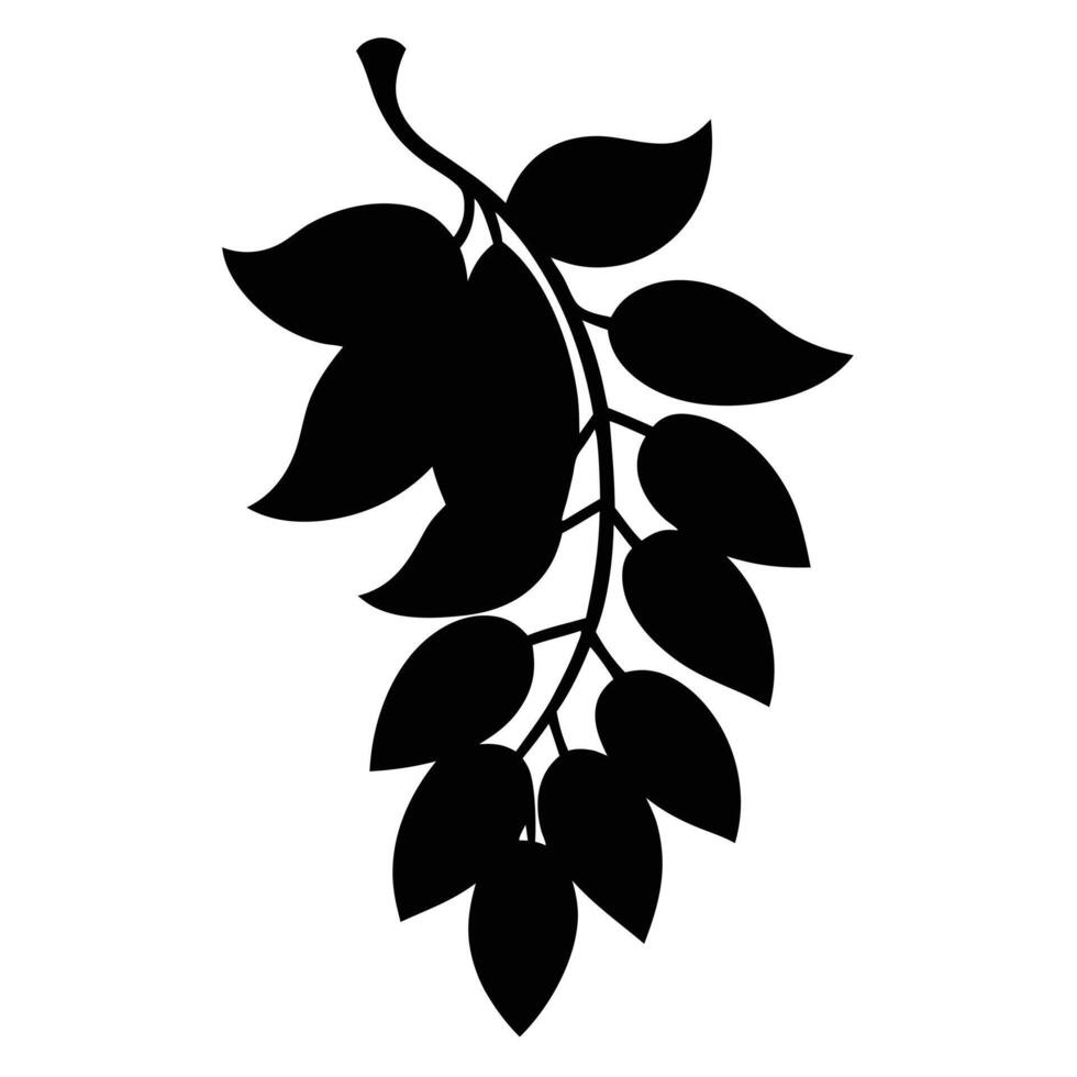 indian-laburnum--flower black color silhouette vector