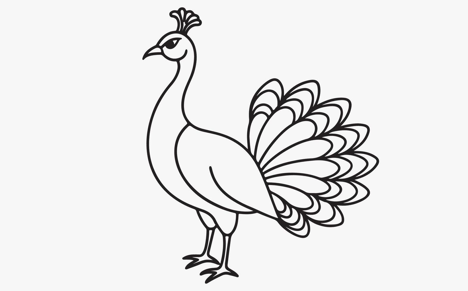 Pecock classic line art image illustration vector