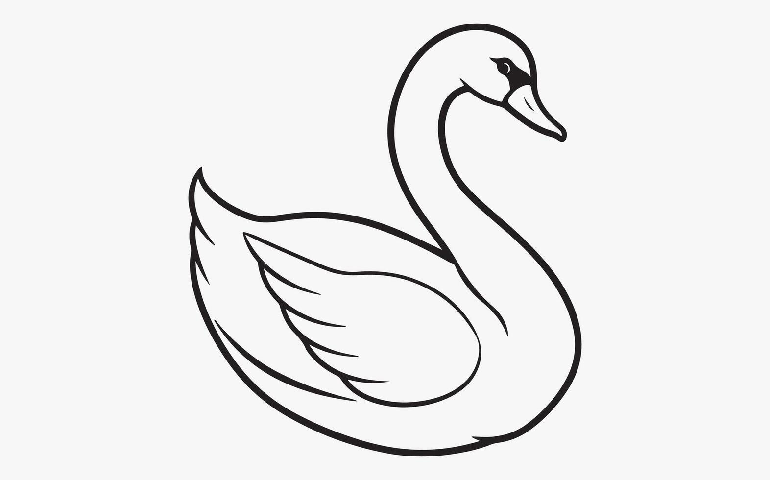 Swan Birs line art vector