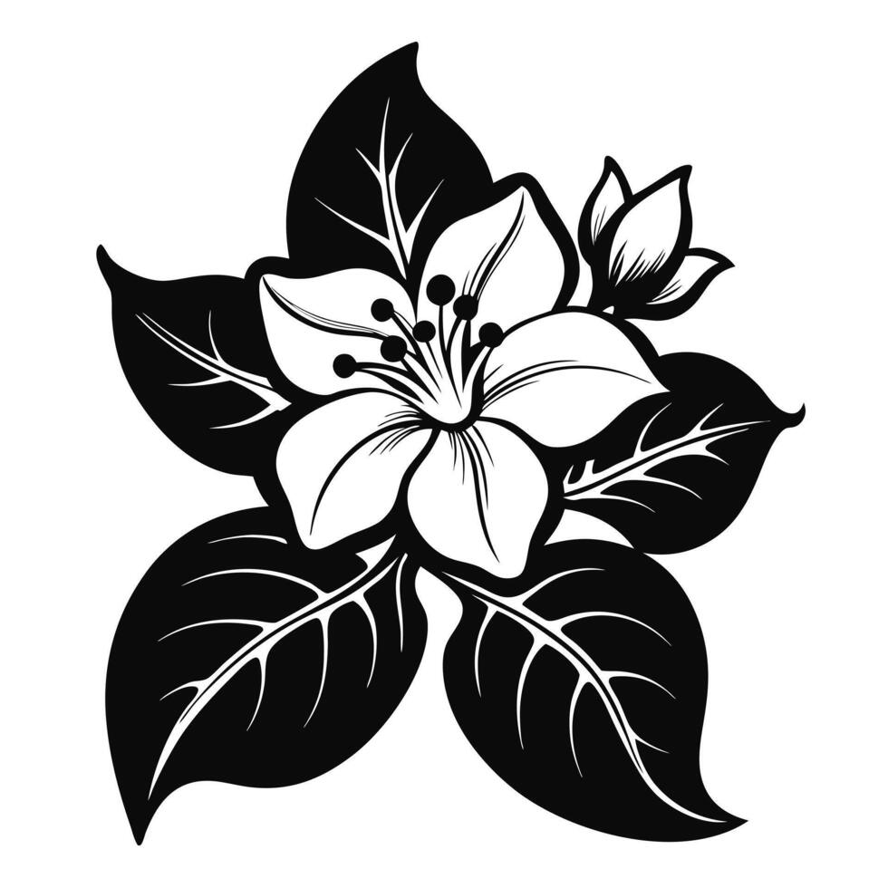 jasmine-flower black-color silhouette vector