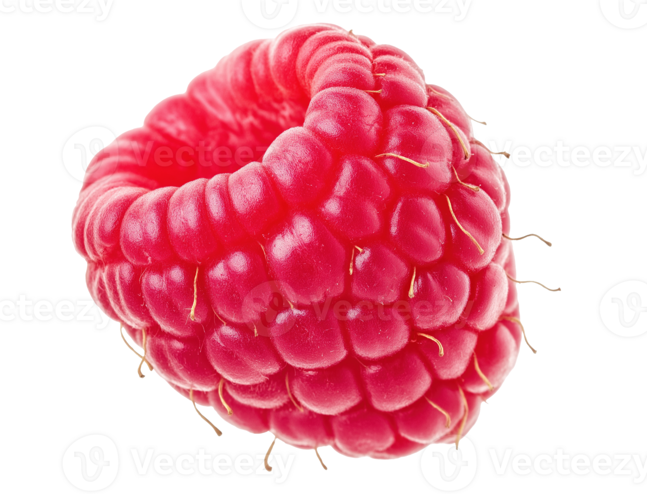 Closeup view of single ripe raspberry image isolated transparent. Vibrant red color and delicate juicy texture cut out. Superfood nutrition cutout element object photography png