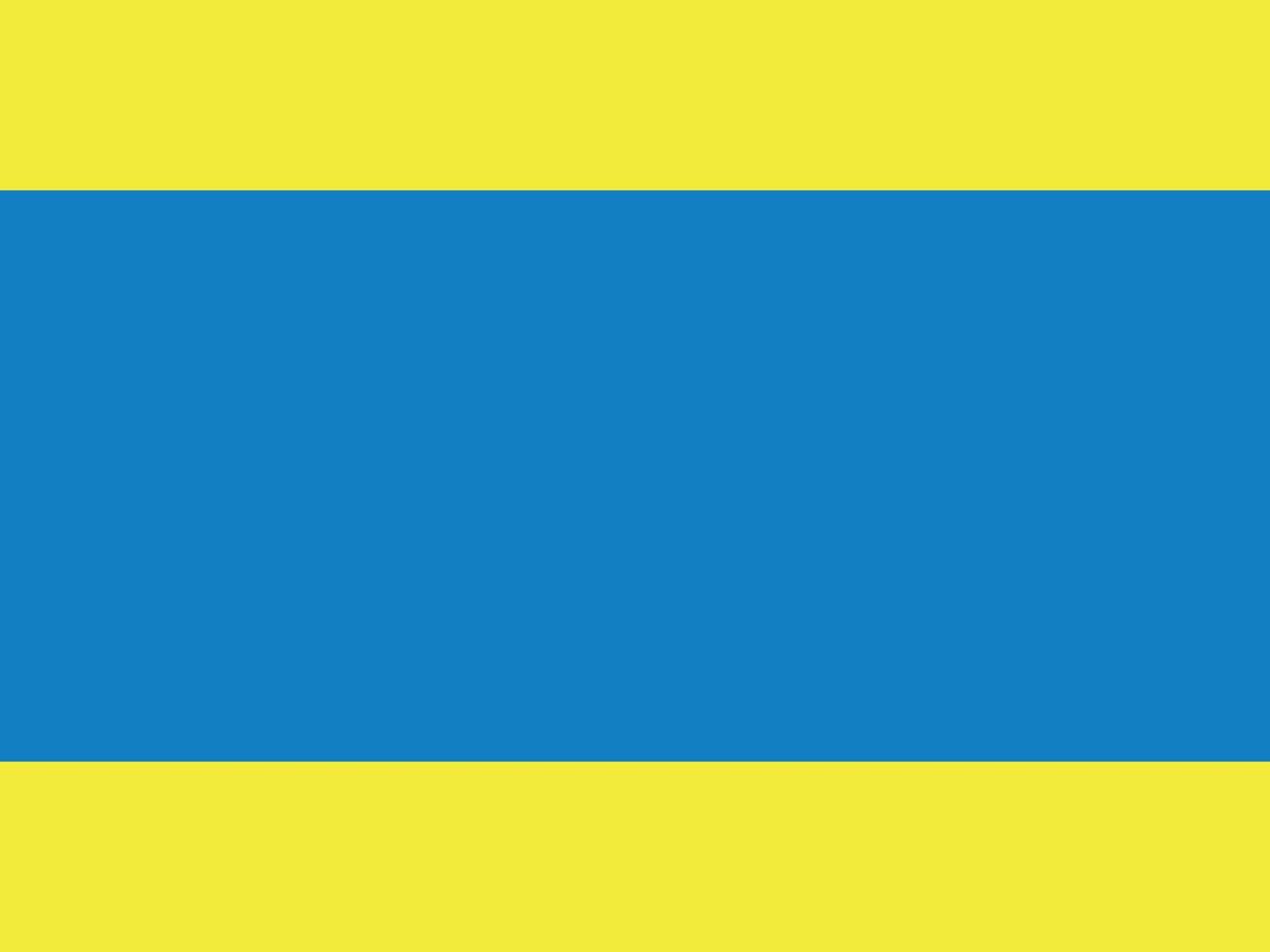 The flag of Dzerzhonivsky District vector
