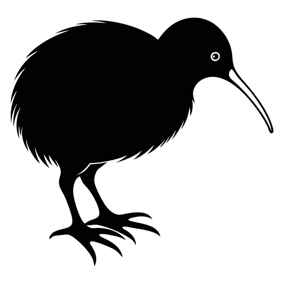 A black kiwi bird on a white background vector