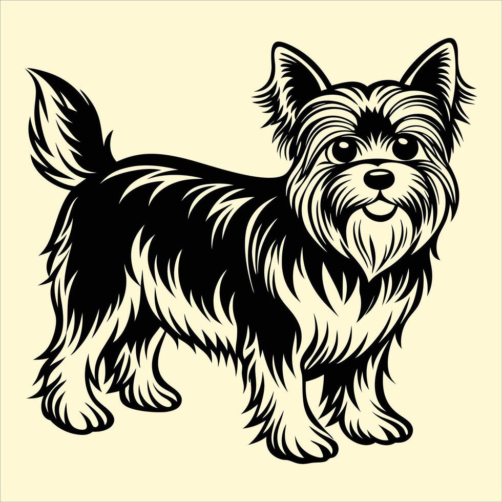 Yorkshire terrier dog illustration vector