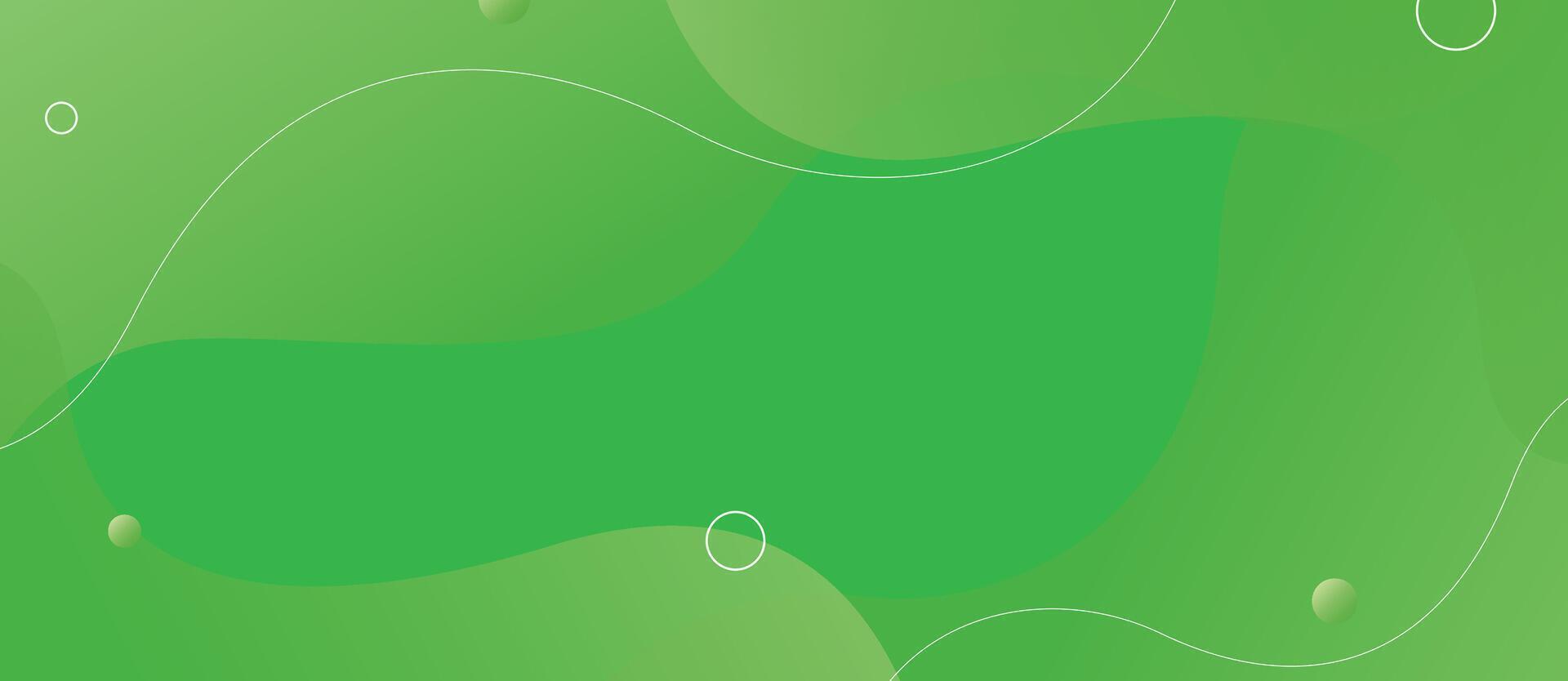 Green background with circles and lines vector
