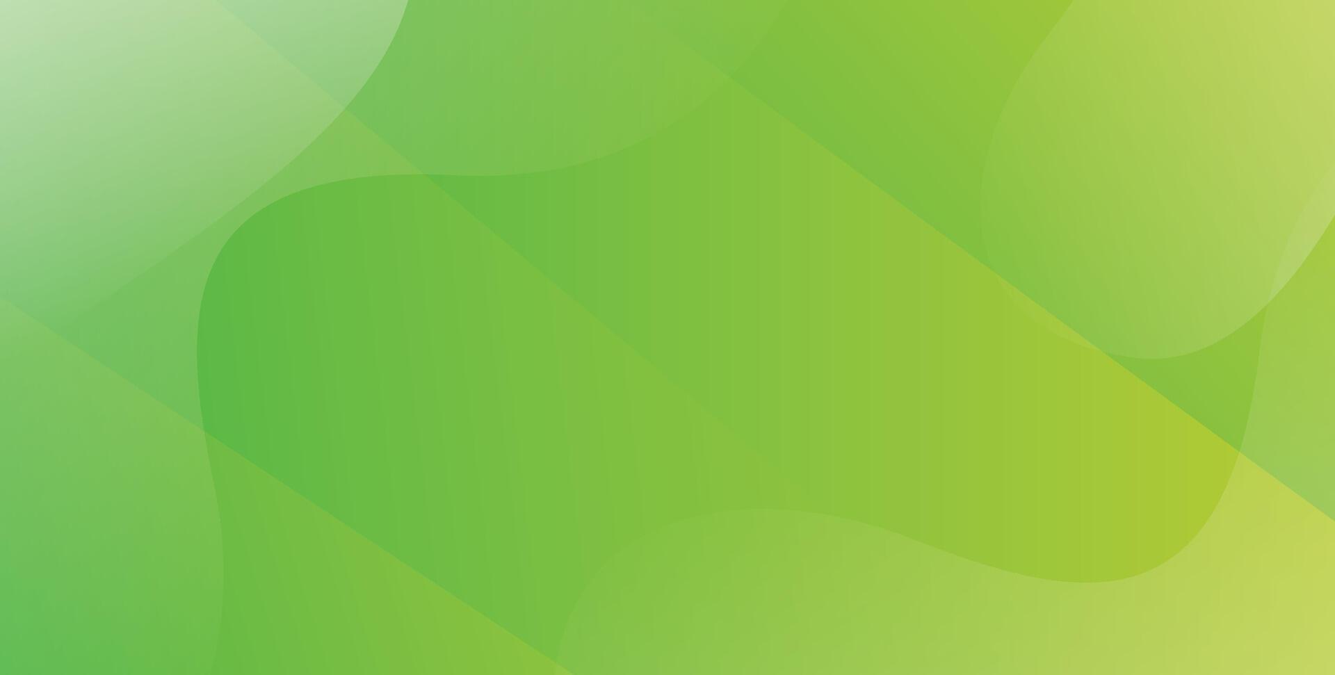 Elegant fresh green background vector