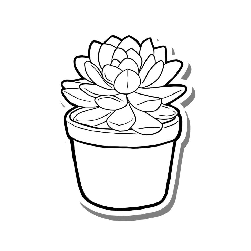 Crassula Ovata Houseplant Outline on white silhouette and gray shadow. Hand drawn cartoon style. illustration for decorate, coloring and any design. vector